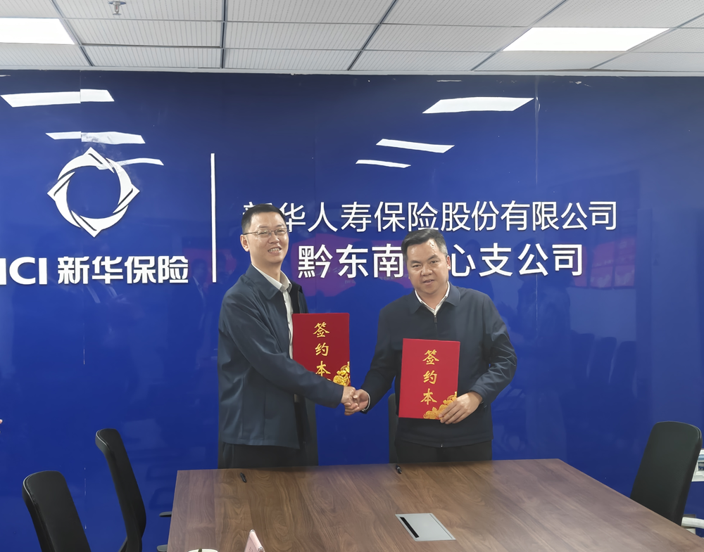 贵州炉碧产业发展集团与新华保险黔东南公司签署战略合作协议(图2) 44.png